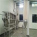 ba869468_Mini Besan plant